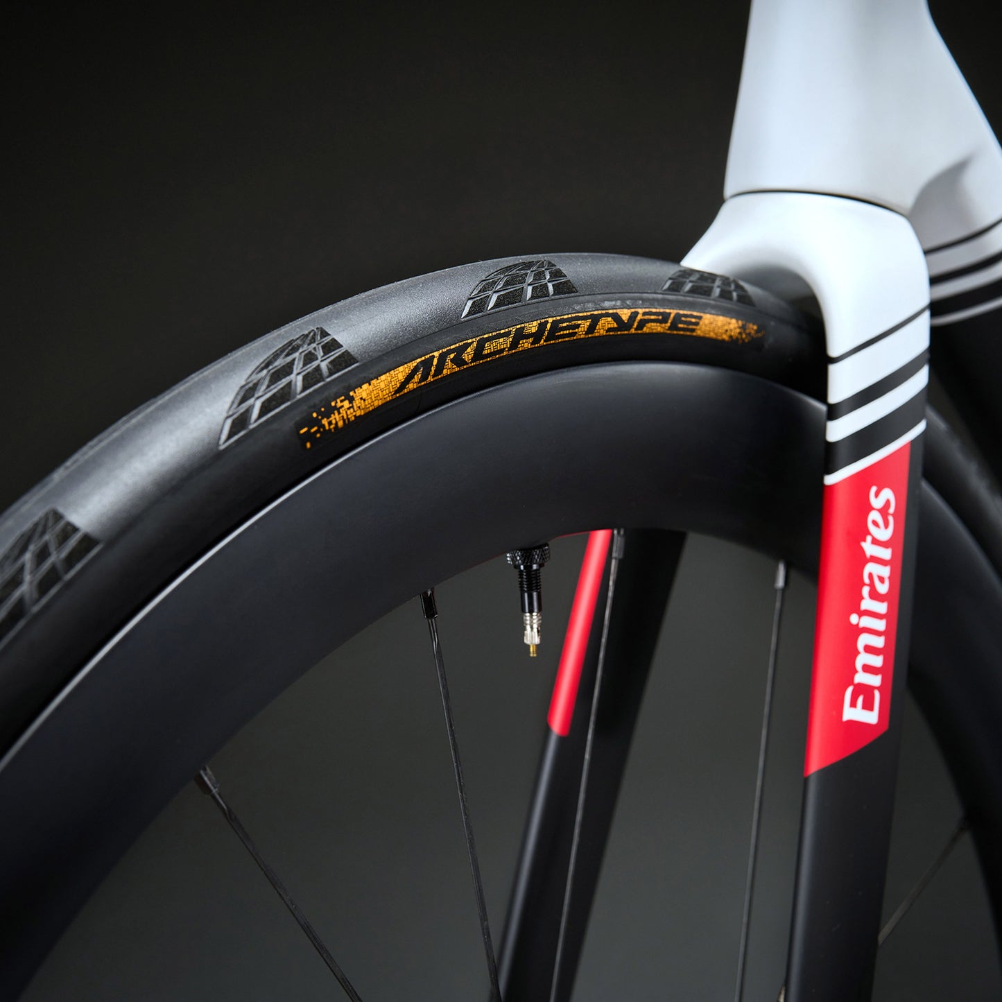 Continental Archetype - LIMITED EDITION - TR- Folding Tyre 700x30